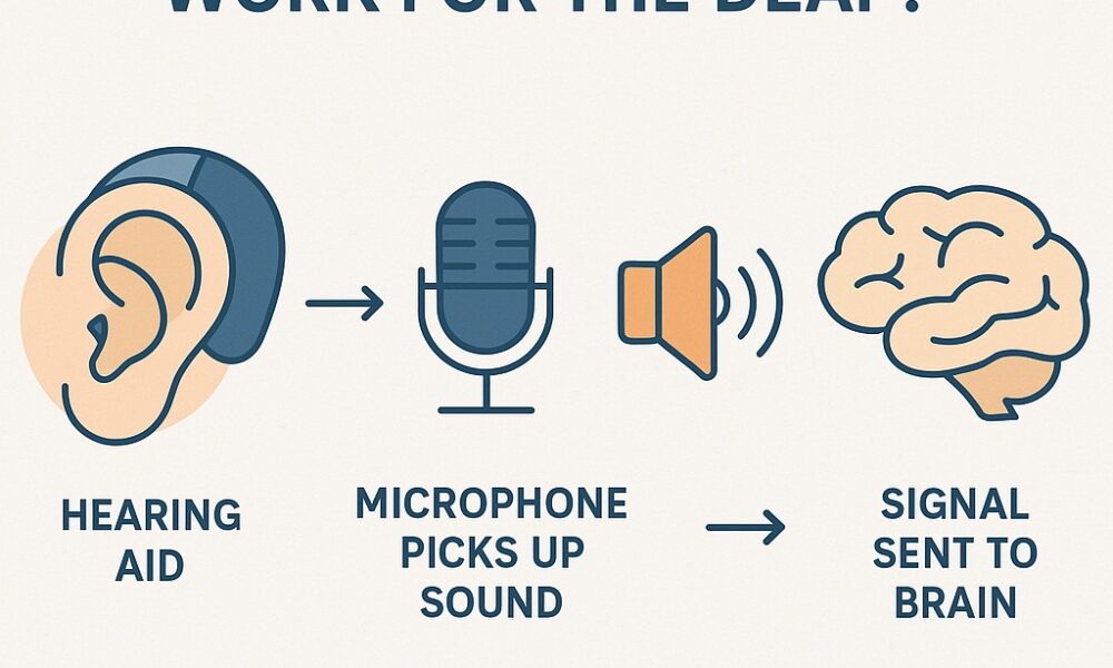 How Do Hearing Aids Work for the Deaf